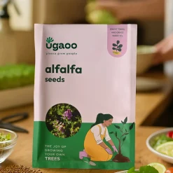 Alfalfa Seeds (Lucerne Grass)