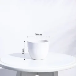 Apple Ceramic Pot (3.8 Inch Diameter)