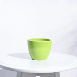 Apple Ceramic Pot (3.8 Inch Diameter)