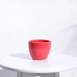 Apple Ceramic Pot (3.8 Inch Diameter)