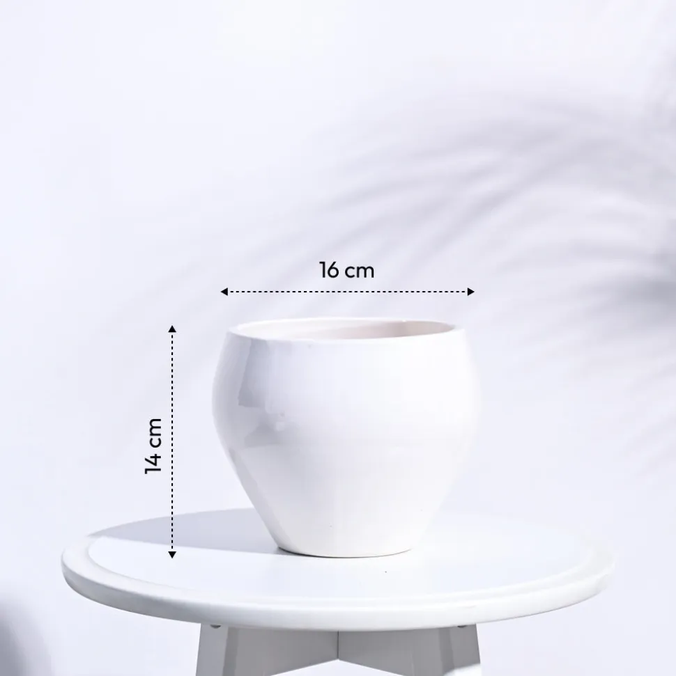 Apple Ceramic Pot (6.6 Inch Diameter)