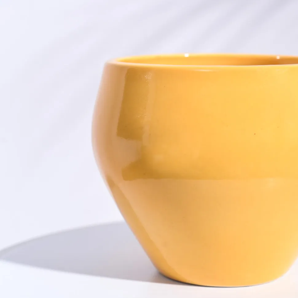 Apple Ceramic Pot (6.6 Inch Diameter)