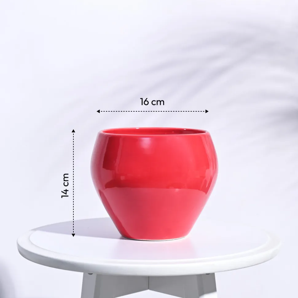 Apple Ceramic Pot (6.6 Inch Diameter)