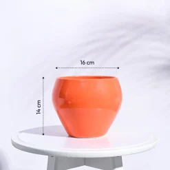 Apple Ceramic Pot (6.6 Inch Diameter)