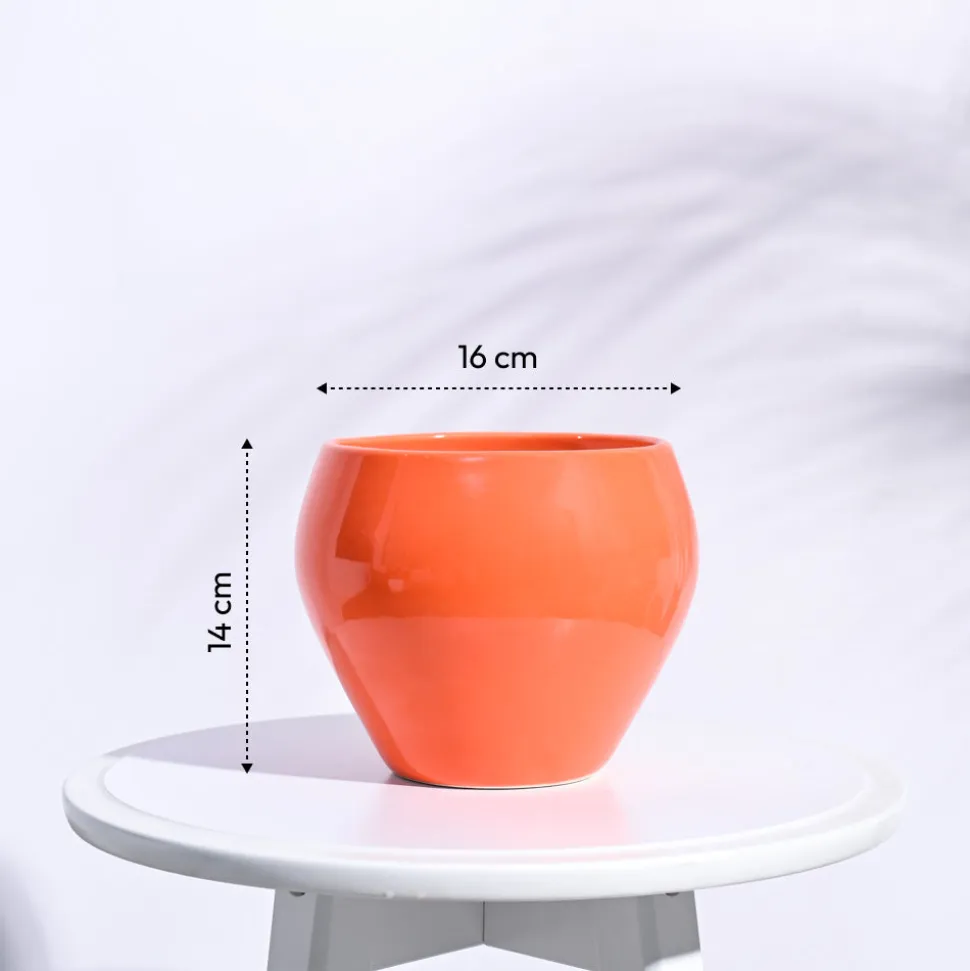Apple Ceramic Pot (6.6 Inch Diameter)