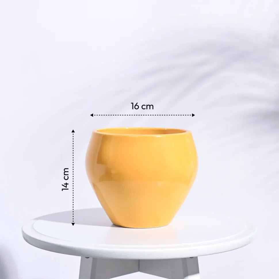 Apple Ceramic Pot (6.6 Inch Diameter)