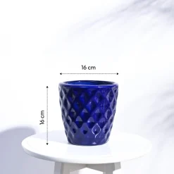 Argyle Ceramic Pot (6.2 Inch Diameter)