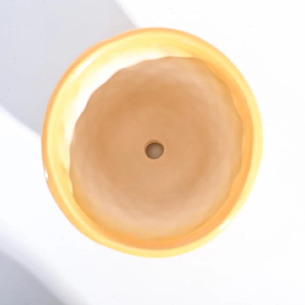 Argyle Ceramic Pot (6.2 Inch Diameter)