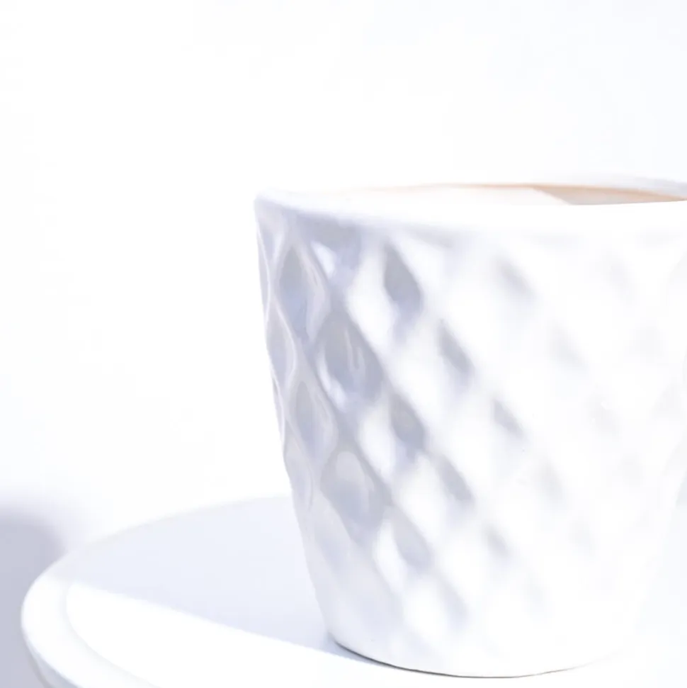 Argyle Ceramic Pot (6.2 Inch Diameter)