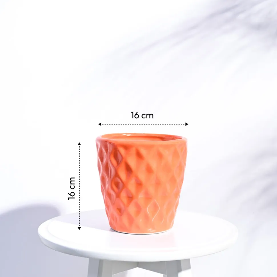 Argyle Ceramic Pot (6.2 Inch Diameter)