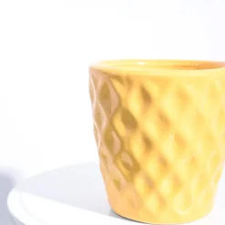 Argyle Ceramic Pot (6.2 Inch Diameter)