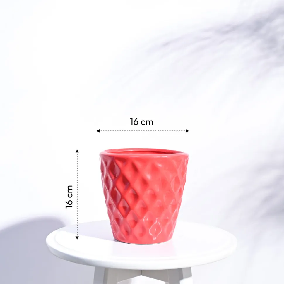 Argyle Ceramic Pot (6.2 Inch Diameter)
