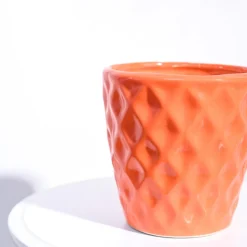 Argyle Ceramic Pot (6.2 Inch Diameter)