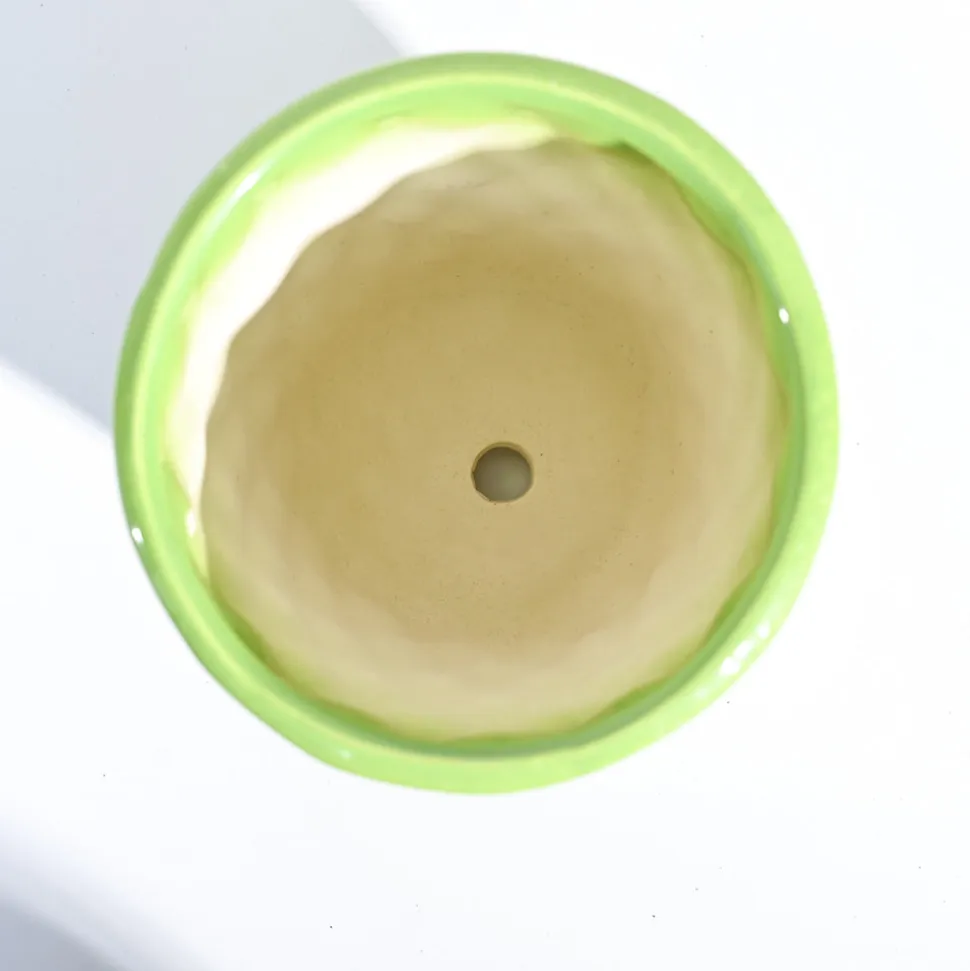 Argyle Ceramic Pot (6.2 Inch Diameter)