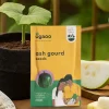 Ash Gourd Seeds