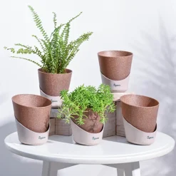 Atlantis Self Watering Planter - 4 Inch (Set of 5)