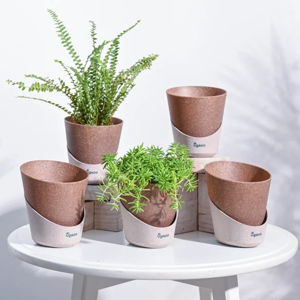 Atlantis Self Watering Planter - 4 Inch (Set of 5)