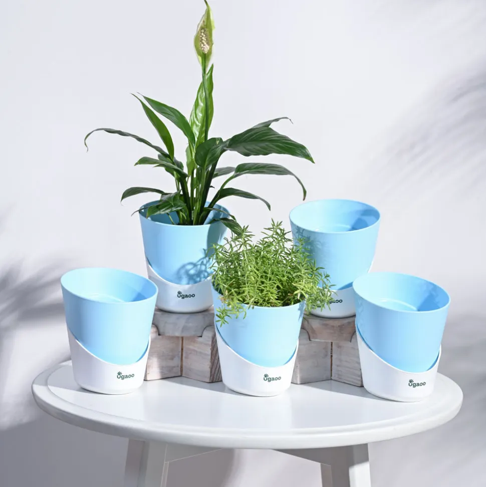 Atlantis Self Watering Planter - 4 Inch (Set of 5)