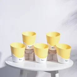 Atlantis Self Watering Planter - 4 Inch (Set of 5)