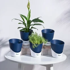 Atlantis Self Watering Planter - 4 Inch (Set of 5)