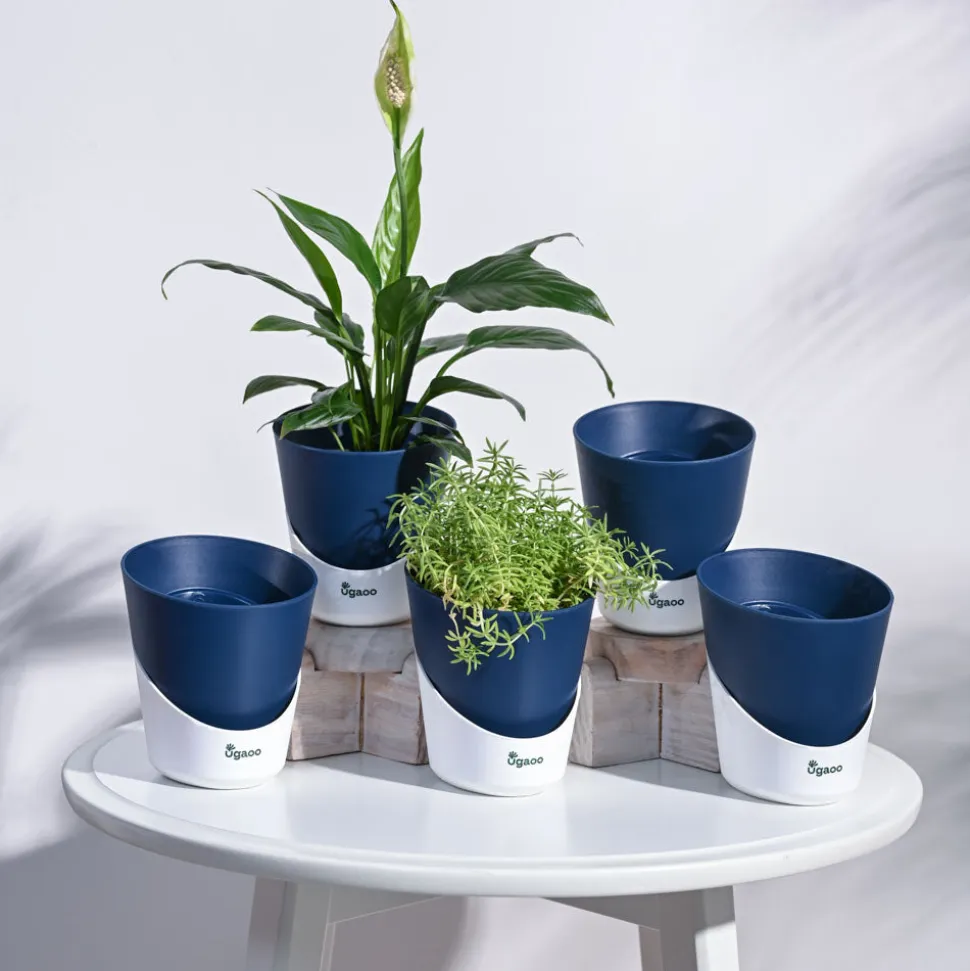 Atlantis Self Watering Planter - 4 Inch (Set of 5)