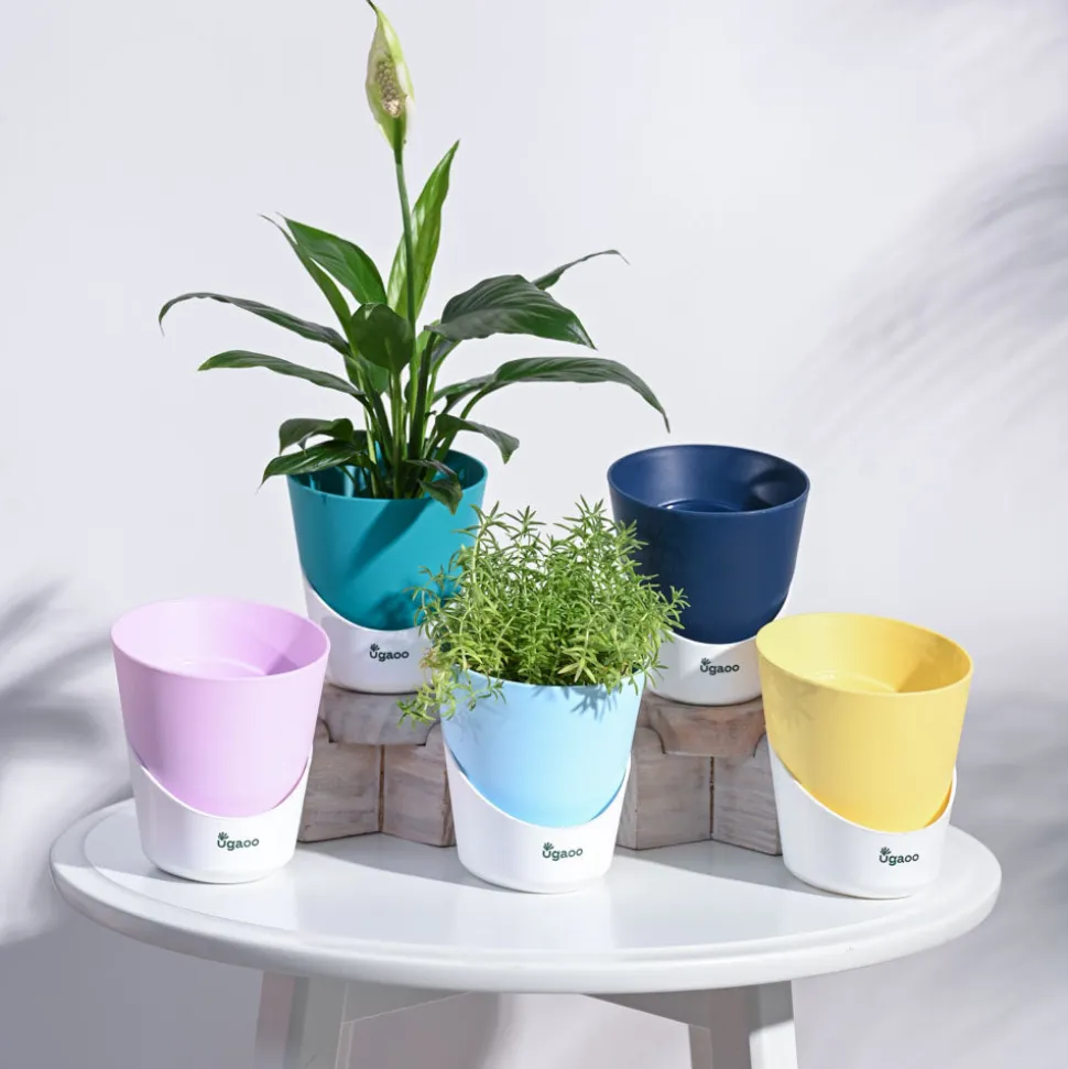 Atlantis Self Watering Planter - 4 Inch (Set of 5)