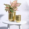 Aurelian Cylindrical Planter