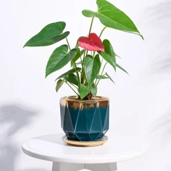 Aurelius Prism Ceramic Pot