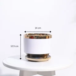 Aurelius Round Ceramic Pot