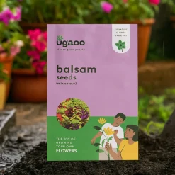 Balsam Mix Seeds