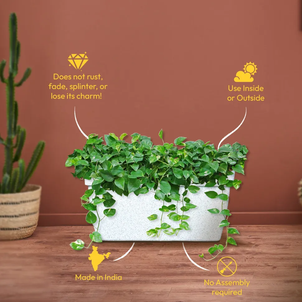 Barca Rectangle Planter