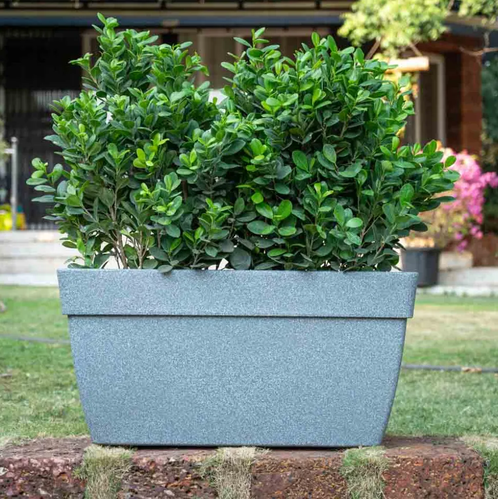 Barca Rectangle Planter