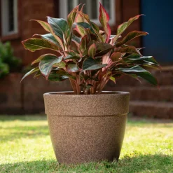 Barca Round Planter