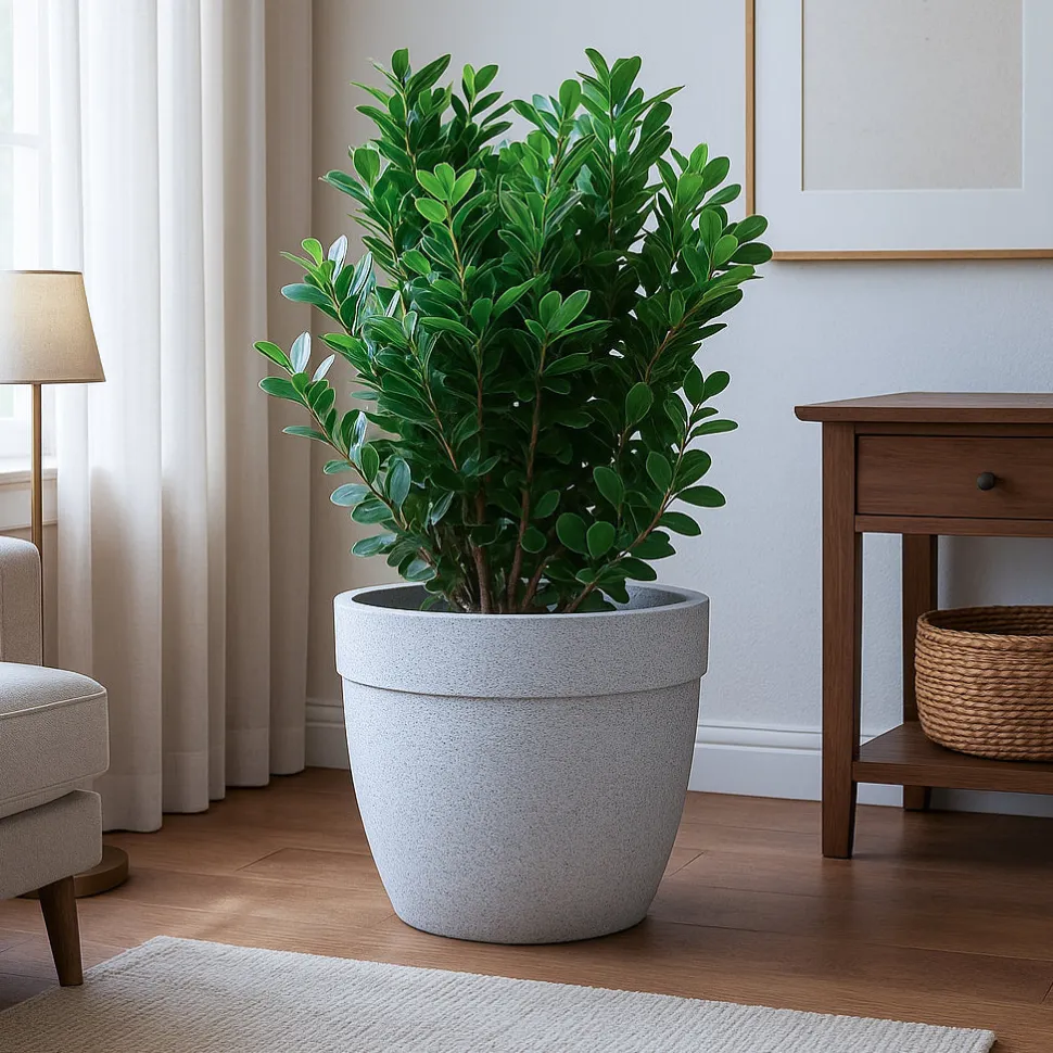 Barca Round Planter