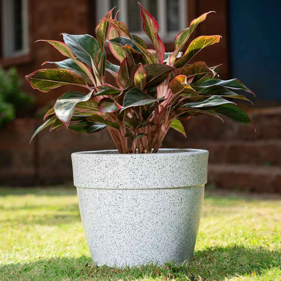 Barca Round Planter