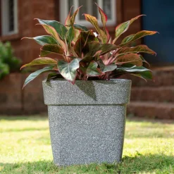 Barca Square Planter