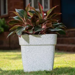Barca Square Planter