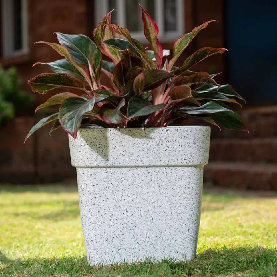 Barca Square Planter