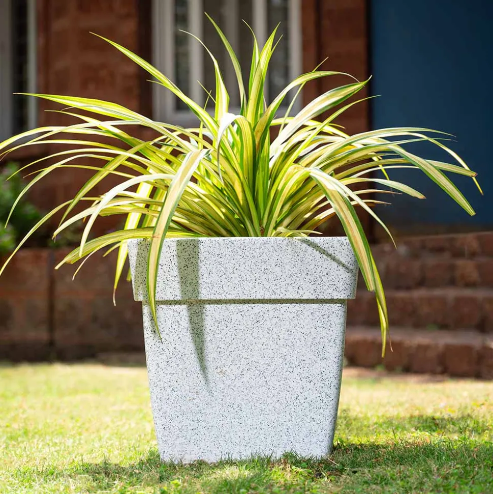 Barca Square Planter