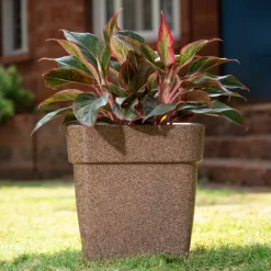 Barca Square Planter