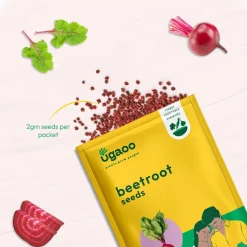 Beetroot Seeds
