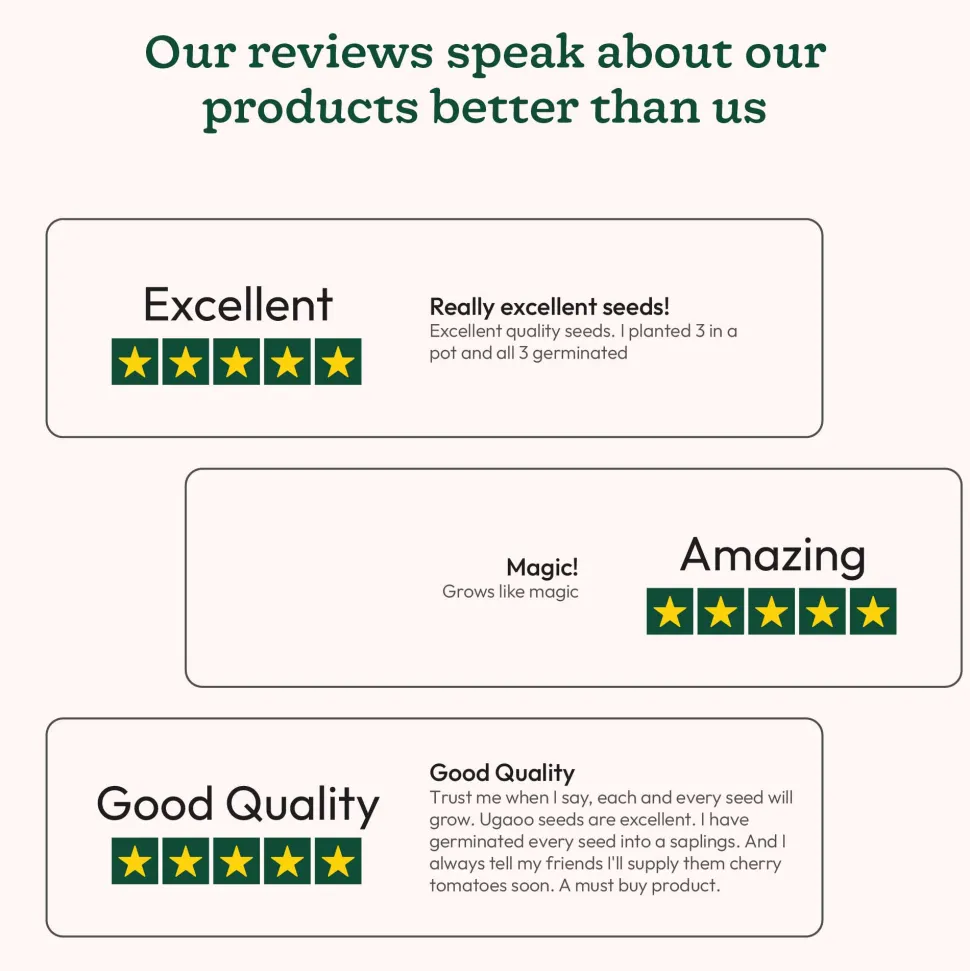 Beetroot Seeds