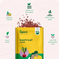 Beetroot Seeds