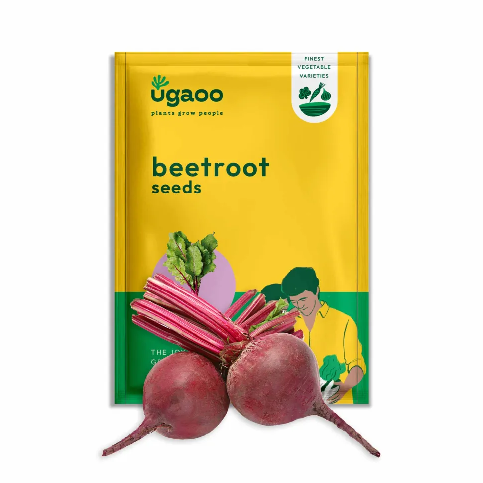 Beetroot Seeds