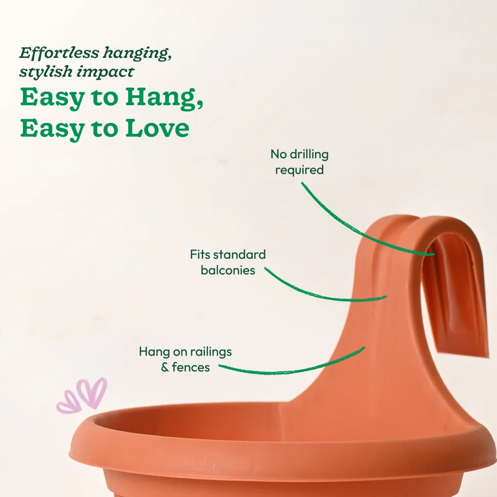 Bello hook planter (set of 5)