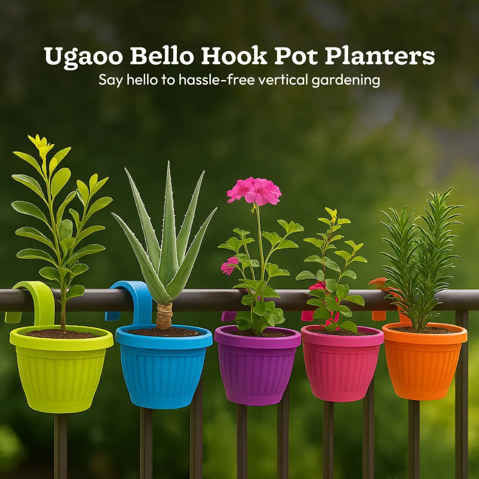 Bello hook planter (set of 5)