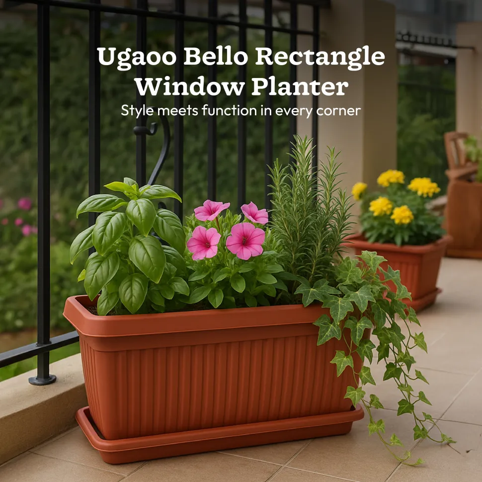 Bellow Rectangle Window Planter