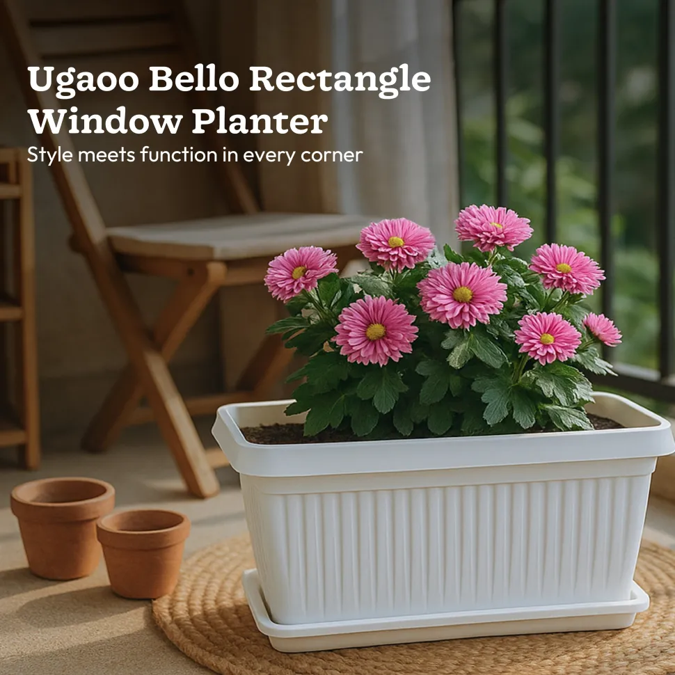 Bellow Rectangle Window Planter