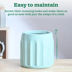 Blushing Sun Ceramic Planter
