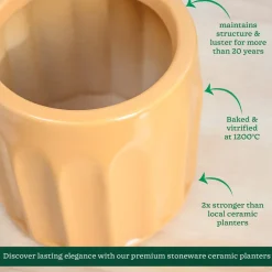 Blushing Sun Ceramic Planter